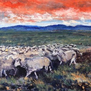 Sunset Sheep Hearding Idaho