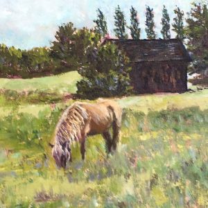 Summer Pony