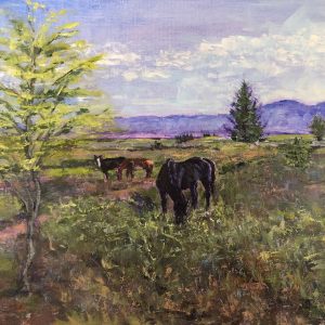 Pasture at Kuna