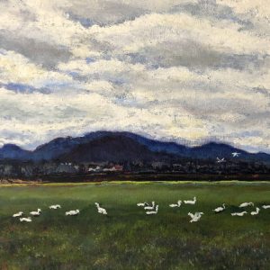 Gathering Geese Mt Vernon