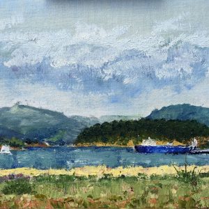 Bay Boat Fidalgo