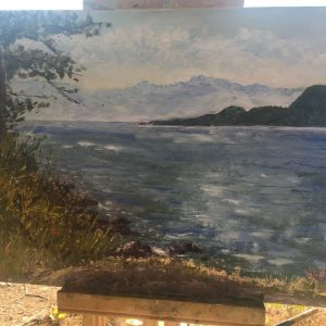Summer Shore WA Park