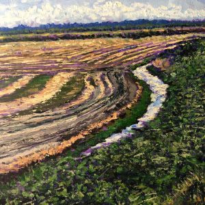 Furrows Along the Dike Bayview