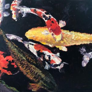 Hello Koi