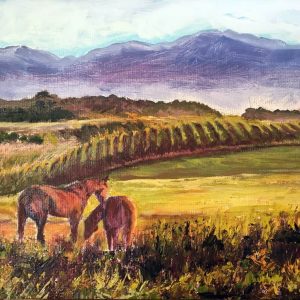 Vineyard Horses Eastern WA